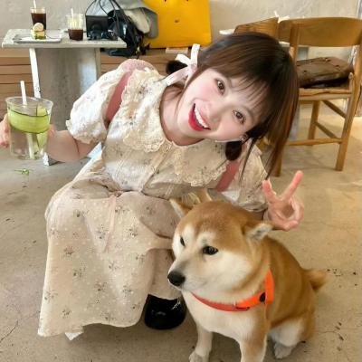 练恋舞