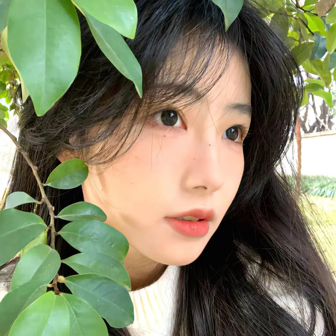 第三人称复仇
