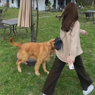 咱们裸熊第三季