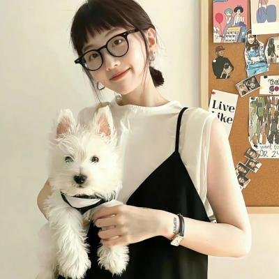 伊拉克碎片