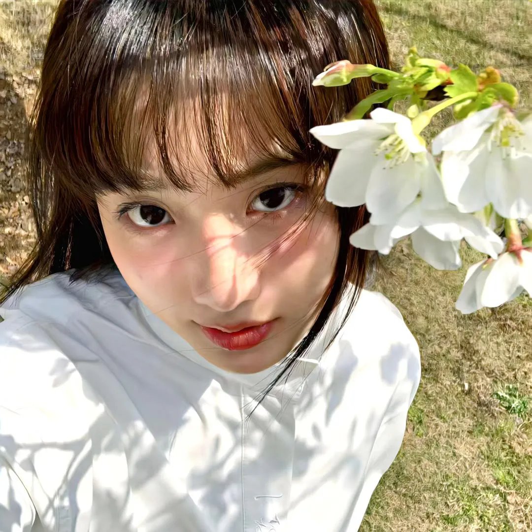 小姐与流浪汉
